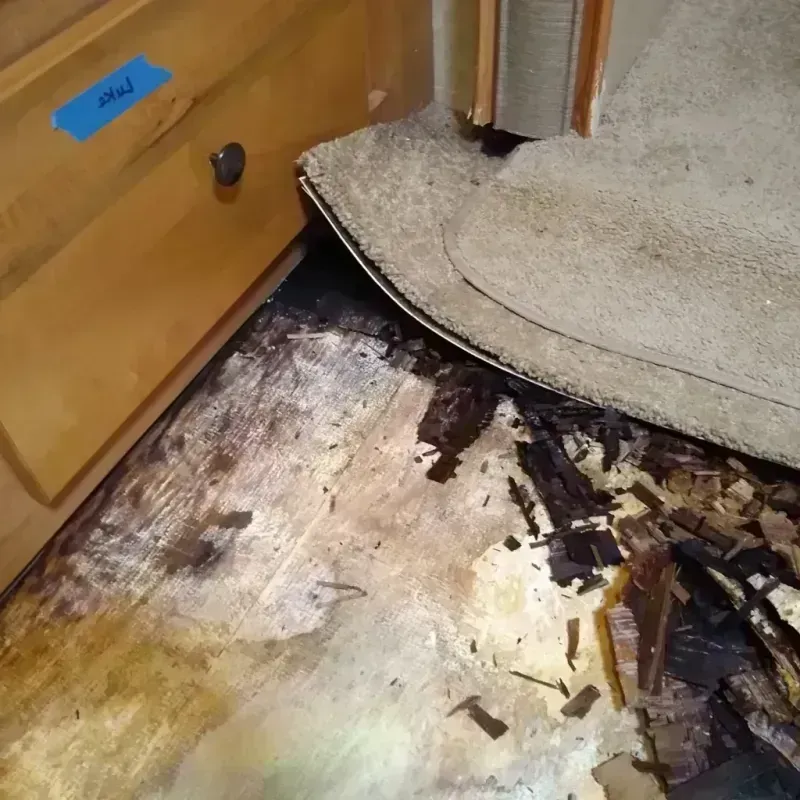 Best Wood Floor Water Damage Service in Gregory, SD